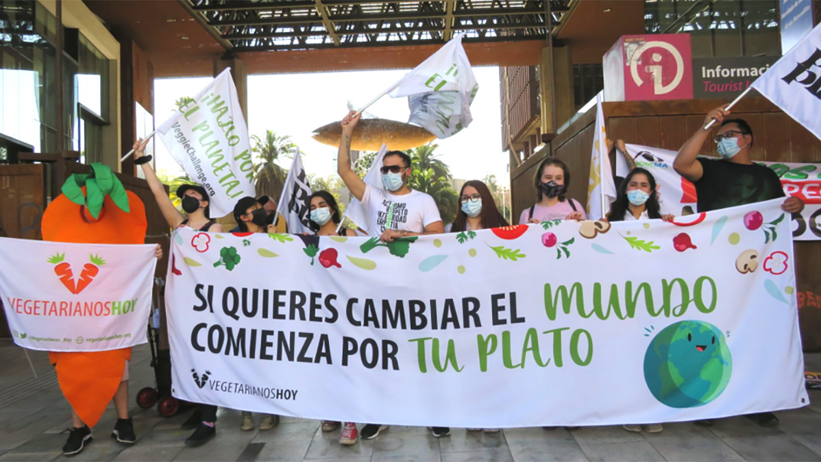 Vegetarianos Hoy