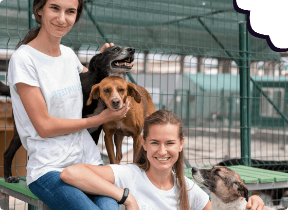 Get Involved: Make a Difference for Animals