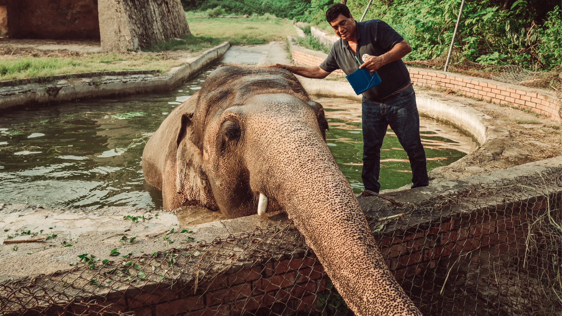 The Story of Kaavan: Kahani Meri